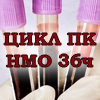 Цикк НМО 36 часов