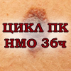 Цикл НМО 36 часов