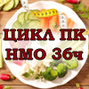 Цикл НМО 36 ч